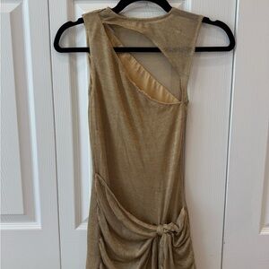 Tiger Mist Gold Mini Dress